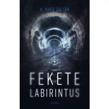 Fekete labirintus - N. Nagy Zoltán (kötött áras) 