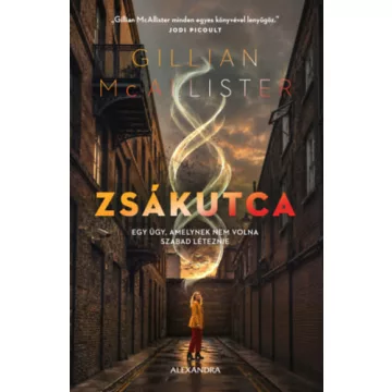Zsákutca - Gillian McAllister (kötött áras) 