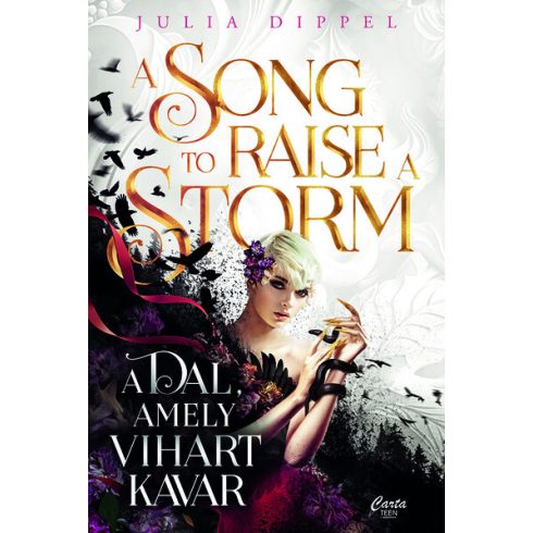 A Song to Raise a Storm - A dal, amely vihart kavar  - Julia Dippel  (kötött áras)