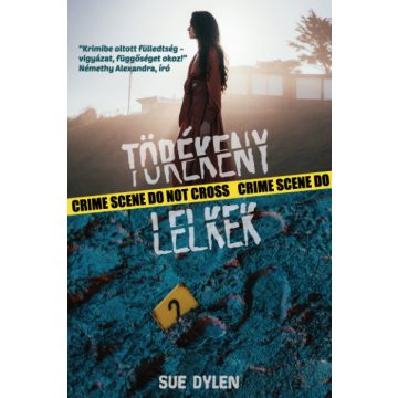 Sue Dylen - Törékeny lelkek