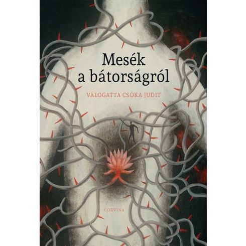 Mesék a bátorságról - Csóka Judit 