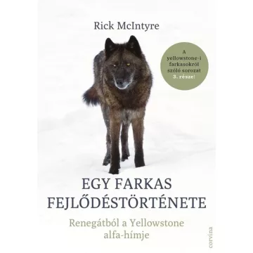   Egy farkas fejlődéstörténete - Renegátból a Yellowstone alfa-hímje - Rick McIntyre (kötött áras)  
