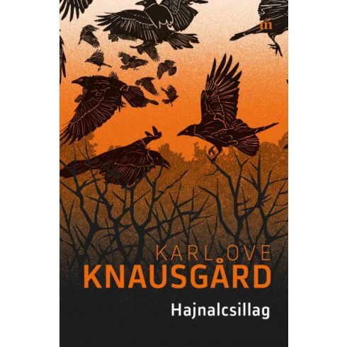 Hajnalcsillag - Karl Ove Knausgard