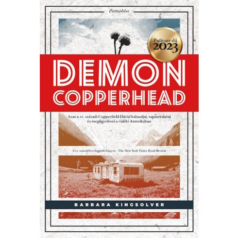 Demon Copperhead - Barbara Kingsolver (kötött áras)