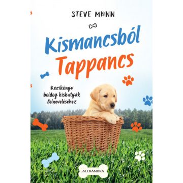 Steve Mann - Kismancsból Tappancs 