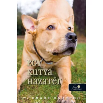 Egy kutya hazatér - W. Bruce Cameron