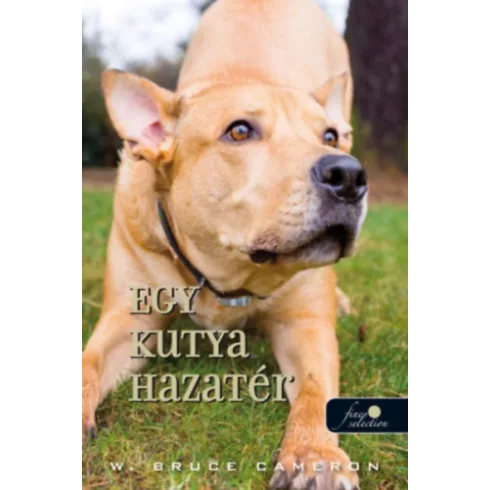 Egy kutya hazatér - W. Bruce Cameron