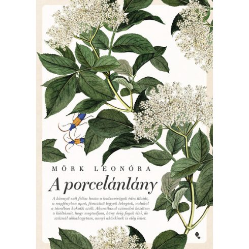 A porcelánlány -  Mörk Leonóra