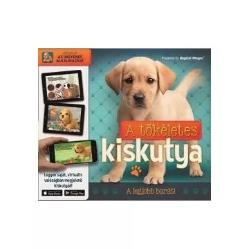A tökéletes kiskutya - A legjobb barát!