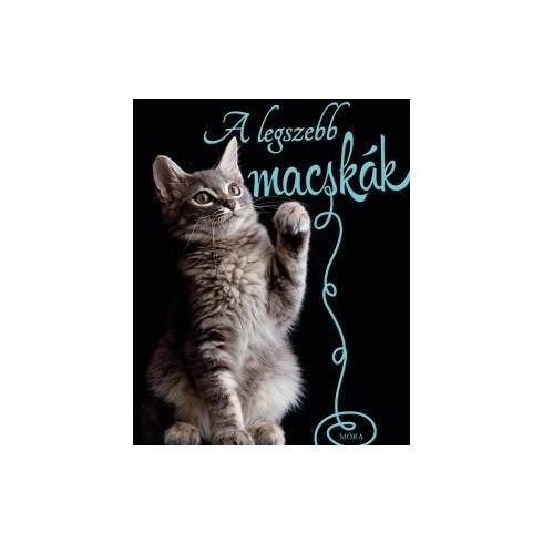Nicola Jane Swinney-A legszebb macskák 
