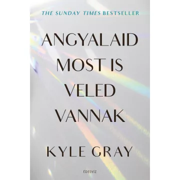   Angyalaid most is veled vannak - Kyle Gray (már nem kötött áras) 