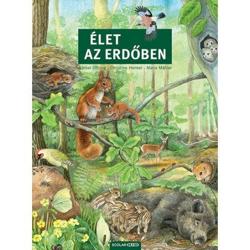 Élet az erdőben - Barbel Oftring