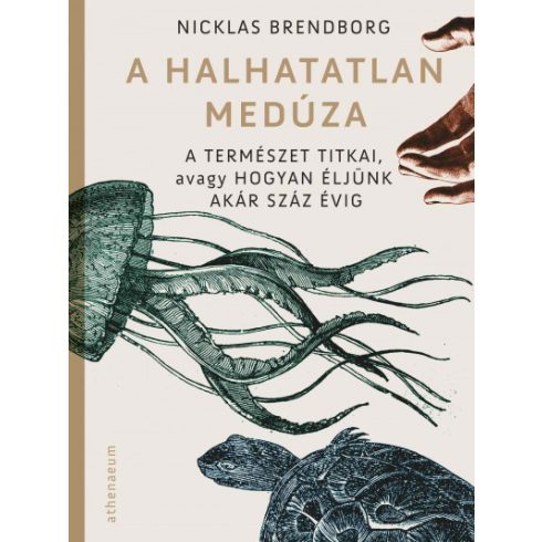 Nicklas Brendborg - A halhatatlan medúza - A természet titkai, avagy hogyan éljünk akár száz évig