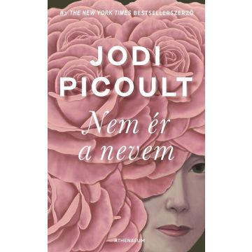 Nem ér a nevem -  Jodi Picoult