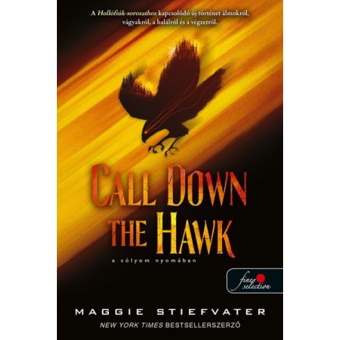 Maggie Stiefvater - Call Down the Hawk - A sólyom nyomában - Álmodok 1.