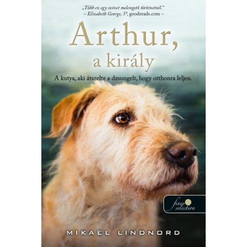 Mikael Lindnord - Arthur, a király - A kutya, aki átszelte a dzsungelt, hogy otthonra leljen