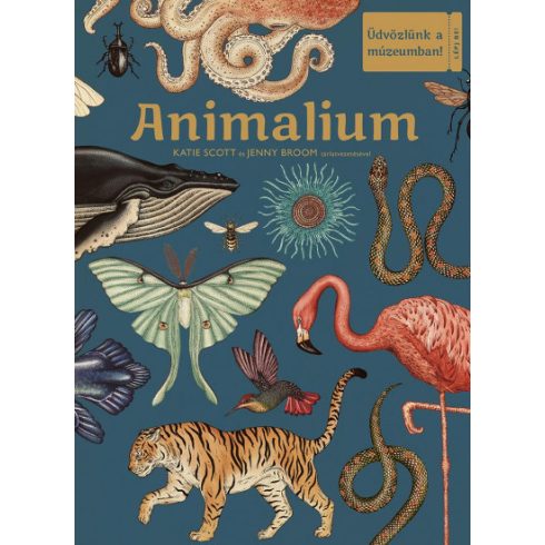 Animalium - Üdvözlünk a múzeumban! -Jenny Broom - Katie Scott