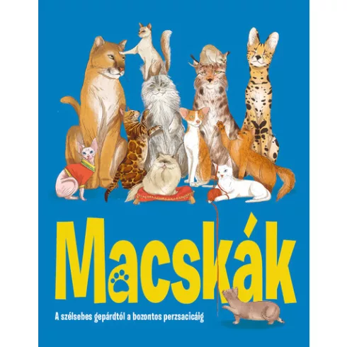 Macskák - A szélsebes gepárdtól a bozontos perzsacicáig - Eliza Jeffery (kötött áras) 