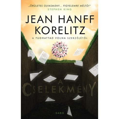 Jean Hanff Korelitz - A cselekmény