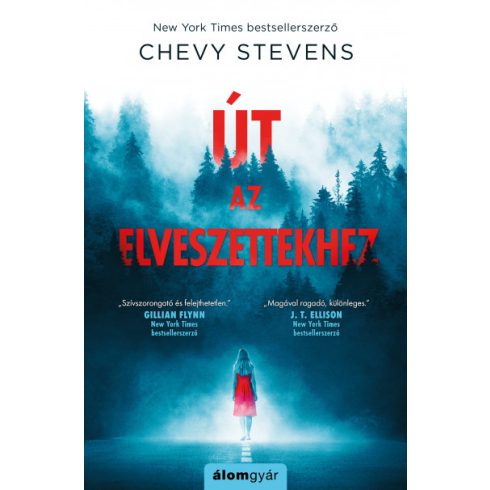 Chevy Stevens - Út az elveszettekhez