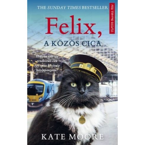 Felix, a közös cica - Kate Moore (kötött áras)