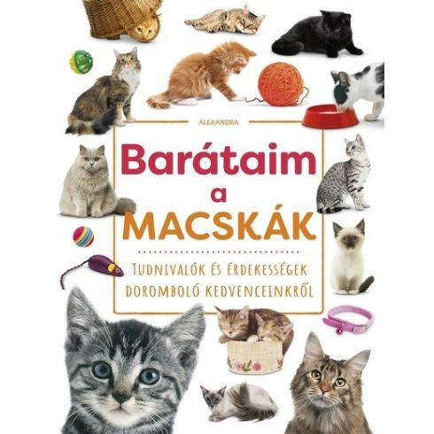 Barátaim, a macskák (kötött áras)
