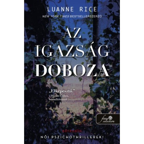 Luanne Rice - Az igazság doboza 