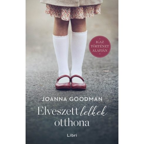 Joanna Goodman - Elveszett lelkek otthona