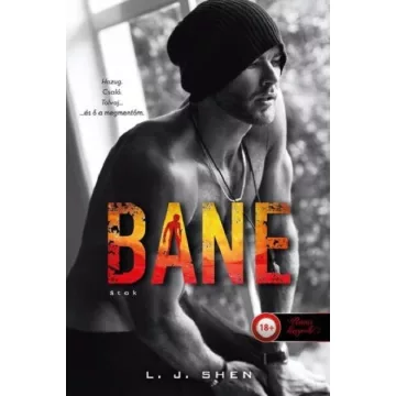 Bane - Átok - Sinners of Saint 4. L. J. Shen