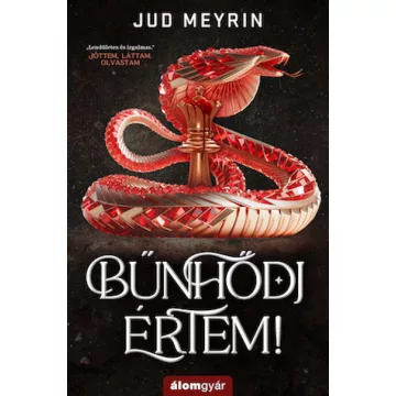 Bűnhődj értem! - Jud Meyrin (kötött áras) 