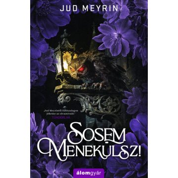 Sosem menekülsz! - Jud Meyrin (kötött áras)